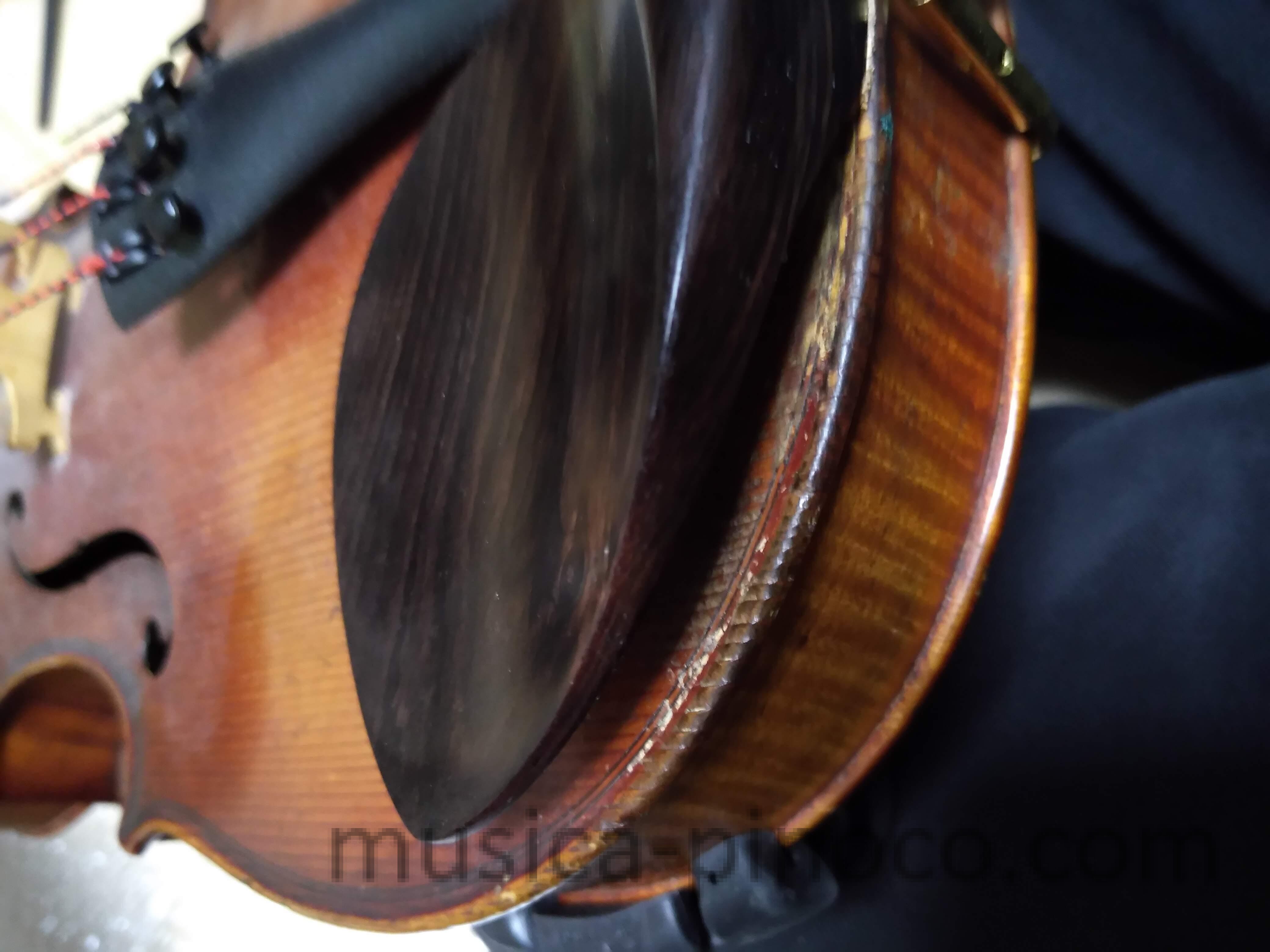 スネークウッド バイオリン 顎当て ガルネリ型 | スネークウッド