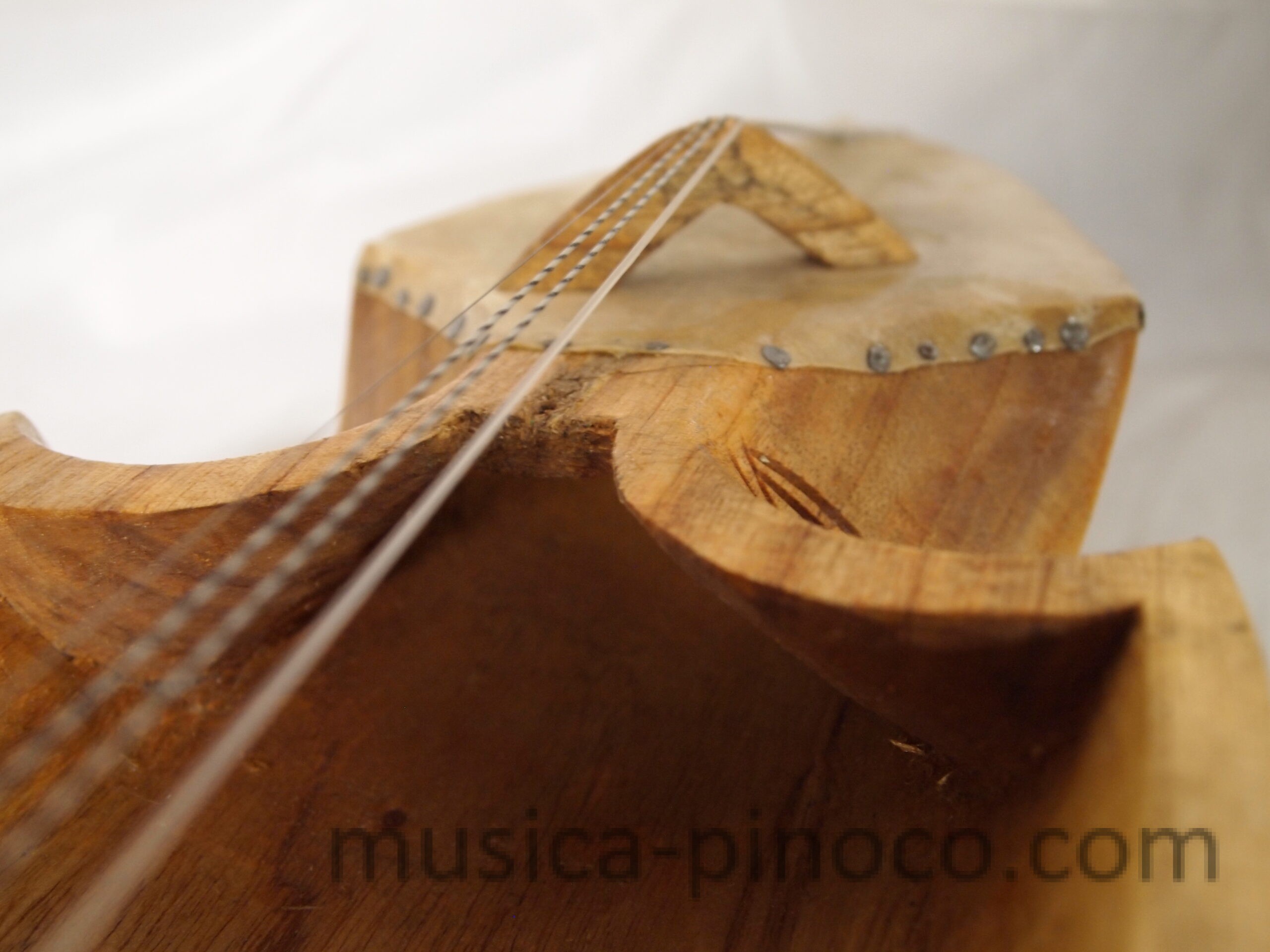 サーランギ（ネパール）（sarangi） - MUSICA PINOCO