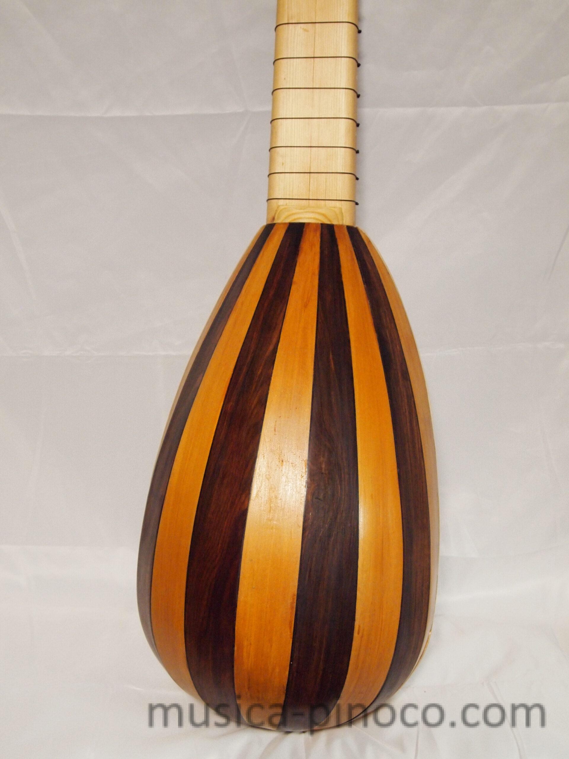 リュート・フォルテ試作機（Lute Forte (Prototype)） - MUSICA PINOCO