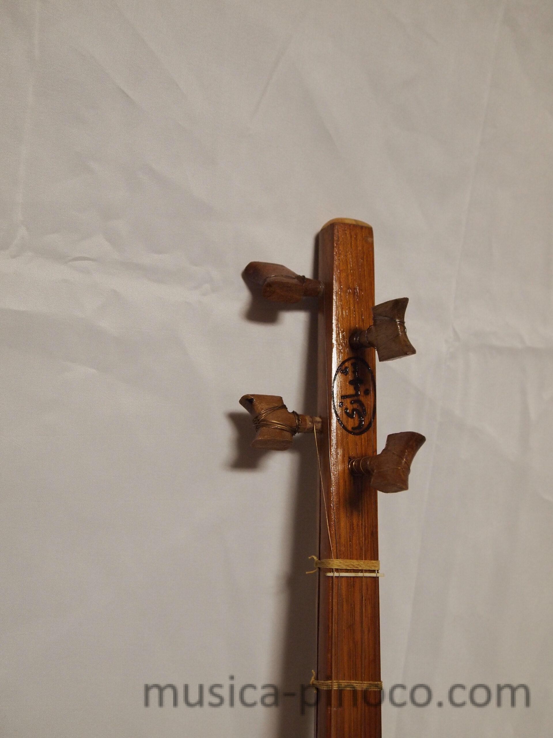 セタール（setar） - MUSICA PINOCO