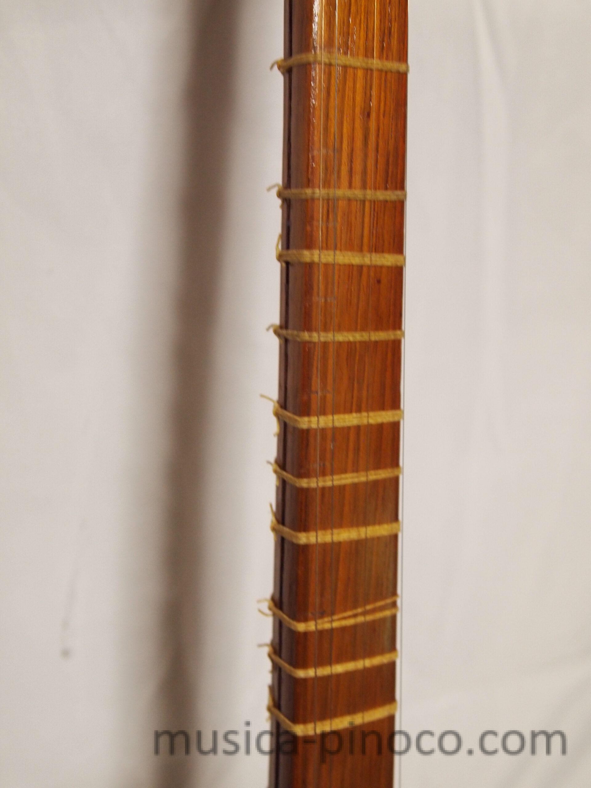 セタール（setar） - MUSICA PINOCO