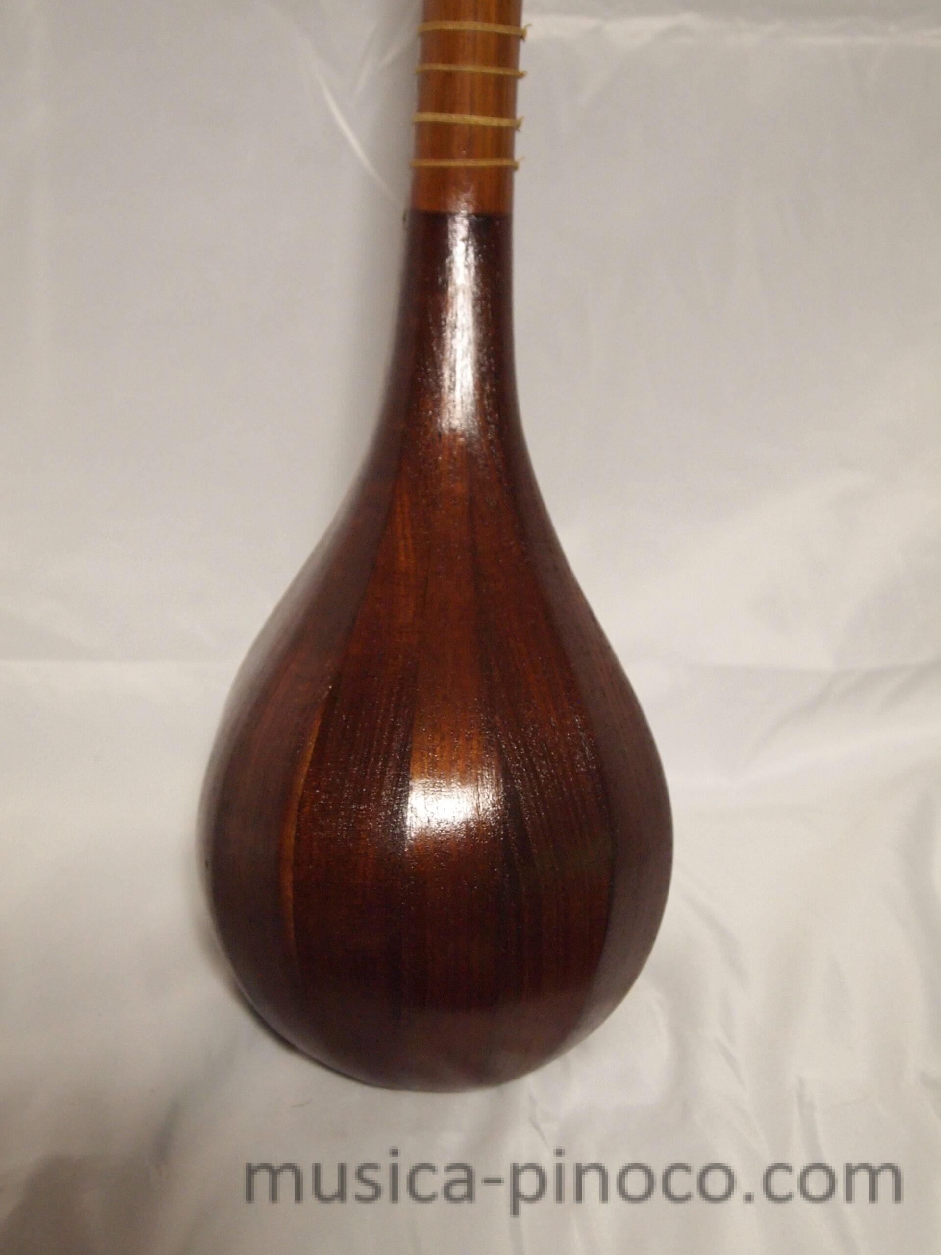 セタール（setar） - MUSICA PINOCO