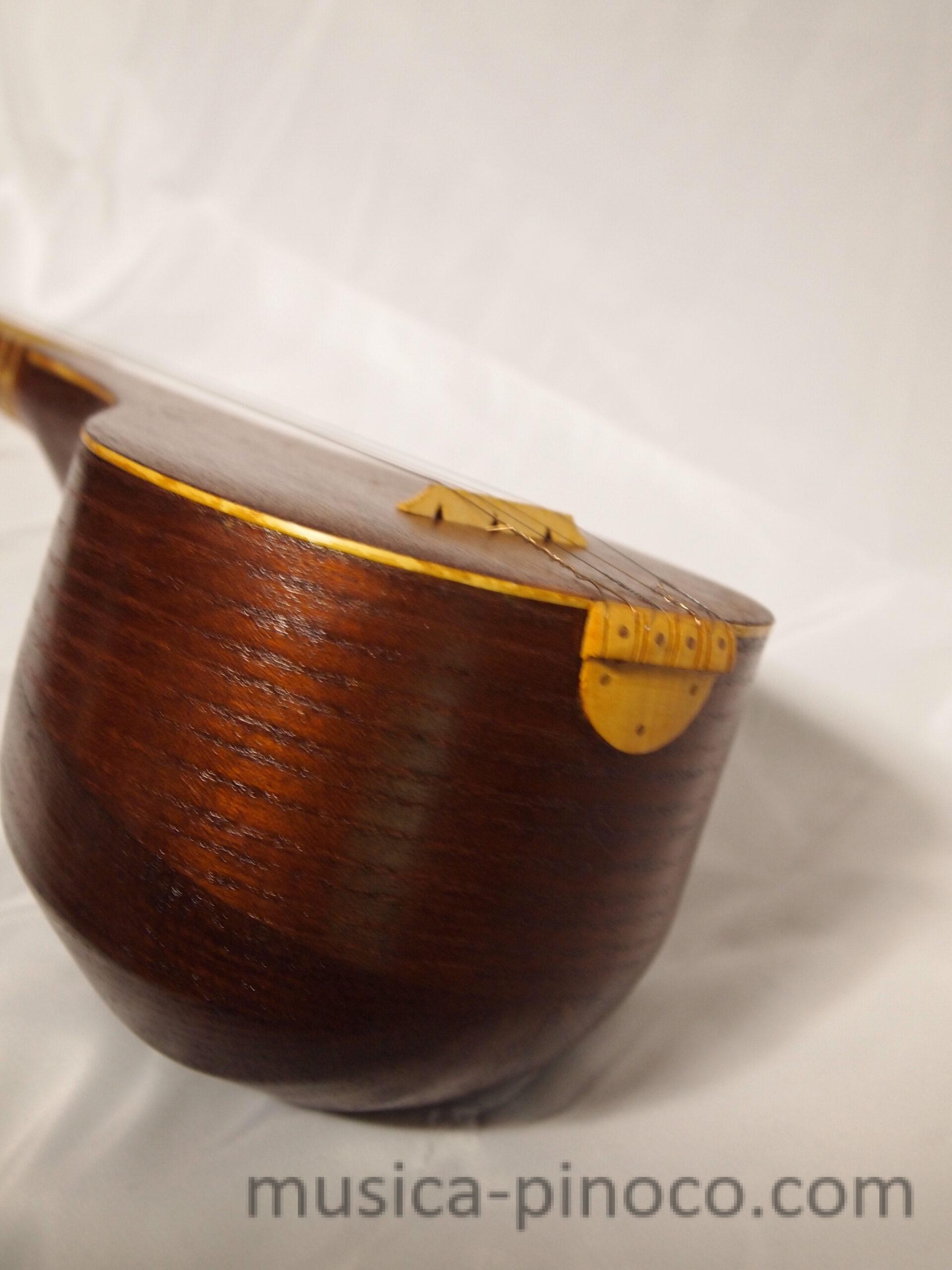 セタール（setar） - MUSICA PINOCO